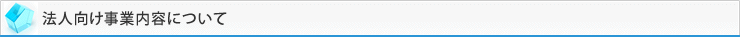 法人向け事業内容について